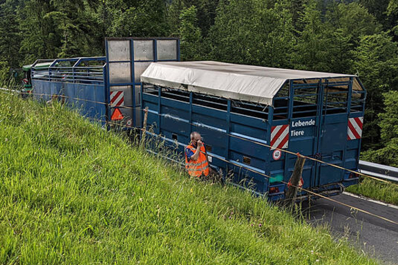 Einsatz 35 - Bild Array