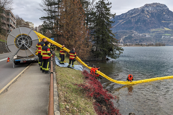 Einsatz 4 - Bild Array