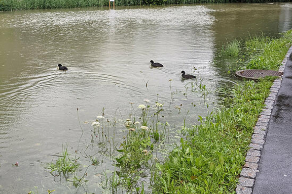 Einsatz 59 - Bild Array